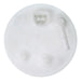 Fuel Pump Module Assembly Airtex Fuel Pumps E8733M