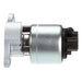 Exhaust Gas Recirculation (EGR) Valve Delphi EG10022