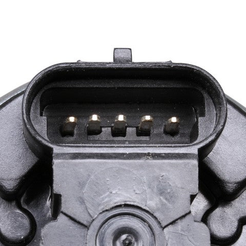 Exhaust Gas Recirculation (EGR) Valve Delphi EG10175