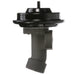 Exhaust Gas Recirculation (EGR) Valve Delphi EG10245