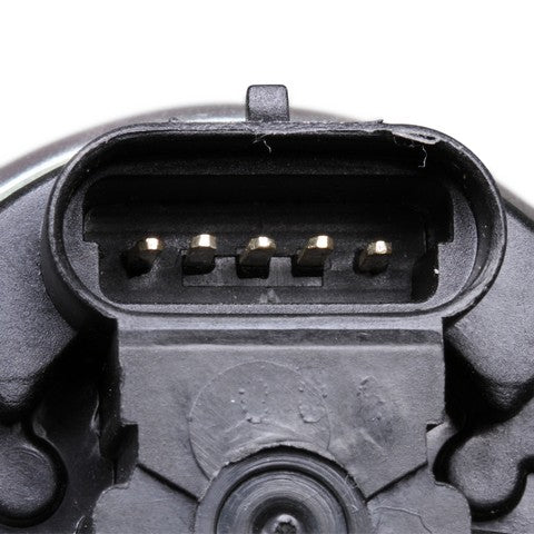 Exhaust Gas Recirculation (EGR) Valve Delphi EG10311