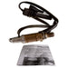 Oxygen Sensor Delphi ES10289