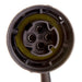 Oxygen Sensor Delphi ES10290