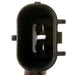 Oxygen Sensor Delphi ES10317