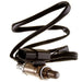 Oxygen Sensor Delphi ES11084