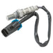 Oxygen Sensor Delphi ES20000