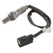 Oxygen Sensor Delphi ES20407