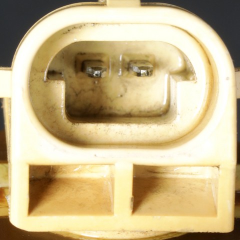 Fuel Injector Delphi EX631028