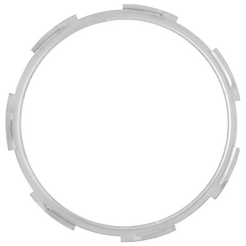 Fuel Tank Lock Ring Delphi FA10007