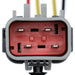 Fuel Pump Wiring Harness Delphi FA10021