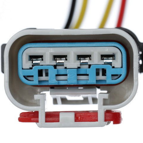 Fuel Pump Wiring Harness Delphi FA10021