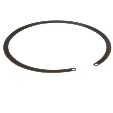 Fuel Tank Lock Ring Delphi FA10022