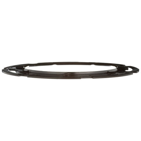 Fuel Tank Lock Ring Delphi FA10025