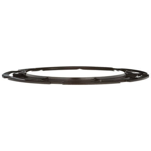 Fuel Tank Lock Ring Delphi FA10025