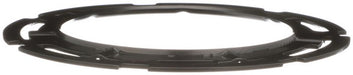 Fuel Tank Lock Ring Delphi FA10027