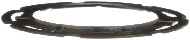 Fuel Tank Lock Ring Delphi FA10027