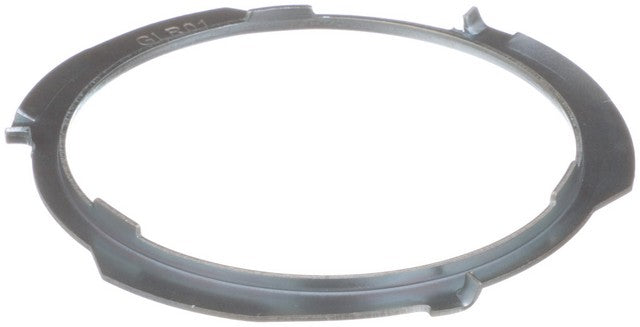 Fuel Tank Lock Ring Delphi FA10028