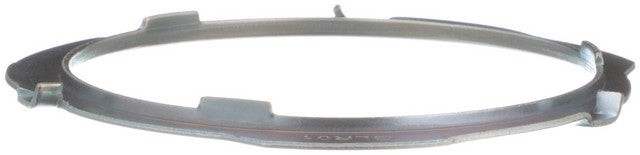 Fuel Tank Lock Ring Delphi FA10028