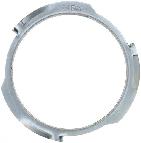 Fuel Tank Lock Ring Delphi FA10028