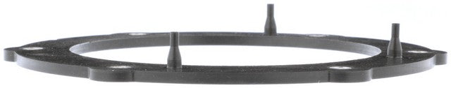 Fuel Pump Tank Seal Delphi FA10030