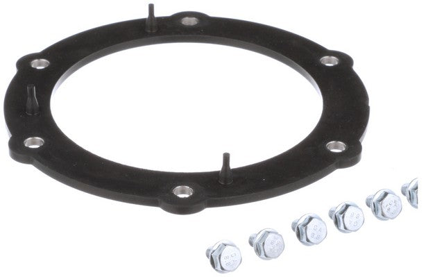 Fuel Pump Tank Seal Delphi FA10030