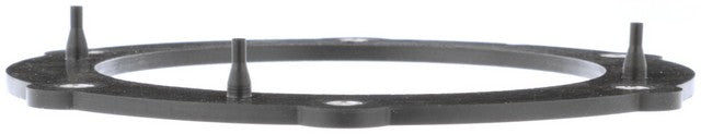 Fuel Pump Tank Seal Delphi FA10030