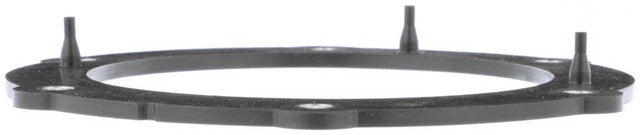 Fuel Pump Tank Seal Delphi FA10030