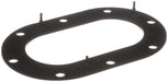 Fuel Pump Tank Seal Delphi FA10033