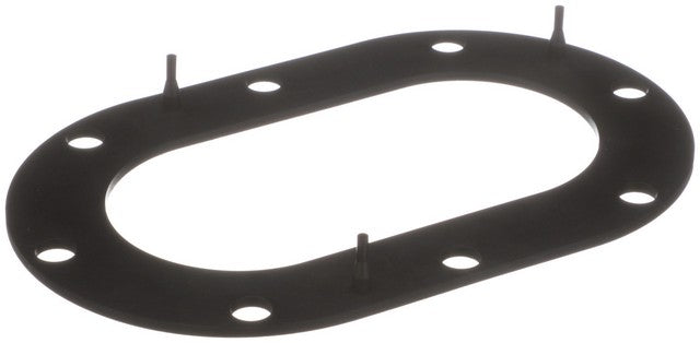 Fuel Pump Tank Seal Delphi FA10033
