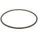 Fuel Pump Tank Seal Delphi FA10036