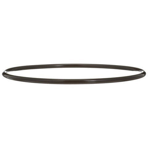 Fuel Pump Tank Seal Delphi FA10036