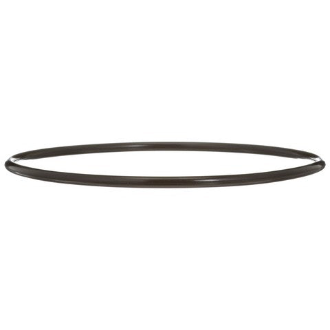 Fuel Pump Tank Seal Delphi FA10036