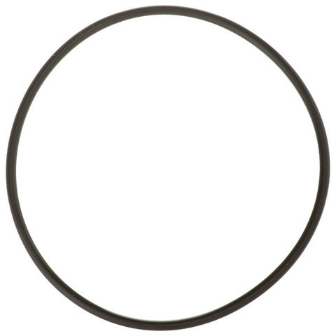 Fuel Pump Tank Seal Delphi FA10036