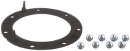 Fuel Pump Tank Seal Delphi FA10038
