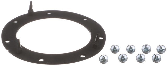 Fuel Pump Tank Seal Delphi FA10038