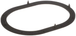 Fuel Pump Tank Seal Delphi FA10039