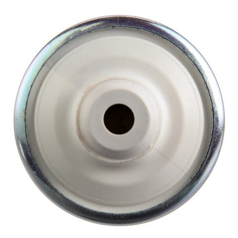 Electric Fuel Pump Delphi FD0029