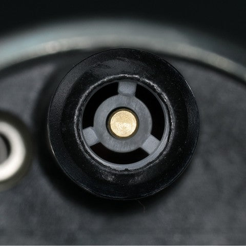 Electric Fuel Pump Delphi FE0245
