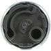 Fuel Pump and Strainer Set Delphi FE0291