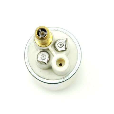 Electric Fuel Pump Delphi FE0310