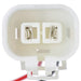 Fuel Pump and Strainer Set Delphi FE0355