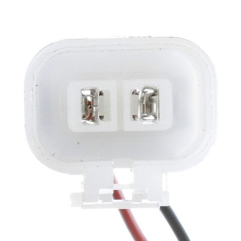 Fuel Pump and Strainer Set Delphi FE0388