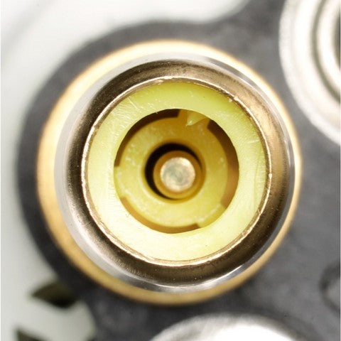 Fuel Pump and Strainer Set Delphi FE0431