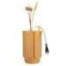 Fuel Pump and Strainer Set Delphi FE0697