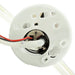 Fuel Pump and Strainer Set Delphi FE0719