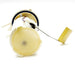 Fuel Pump Module Assembly Delphi FG0058
