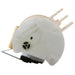 Fuel Pump Module Assembly Delphi FG0069