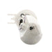 Fuel Pump Module Assembly Delphi FG0084