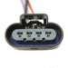 Fuel Pump Module Assembly Delphi FG0084