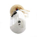 Fuel Pump Module Assembly Delphi FG0092